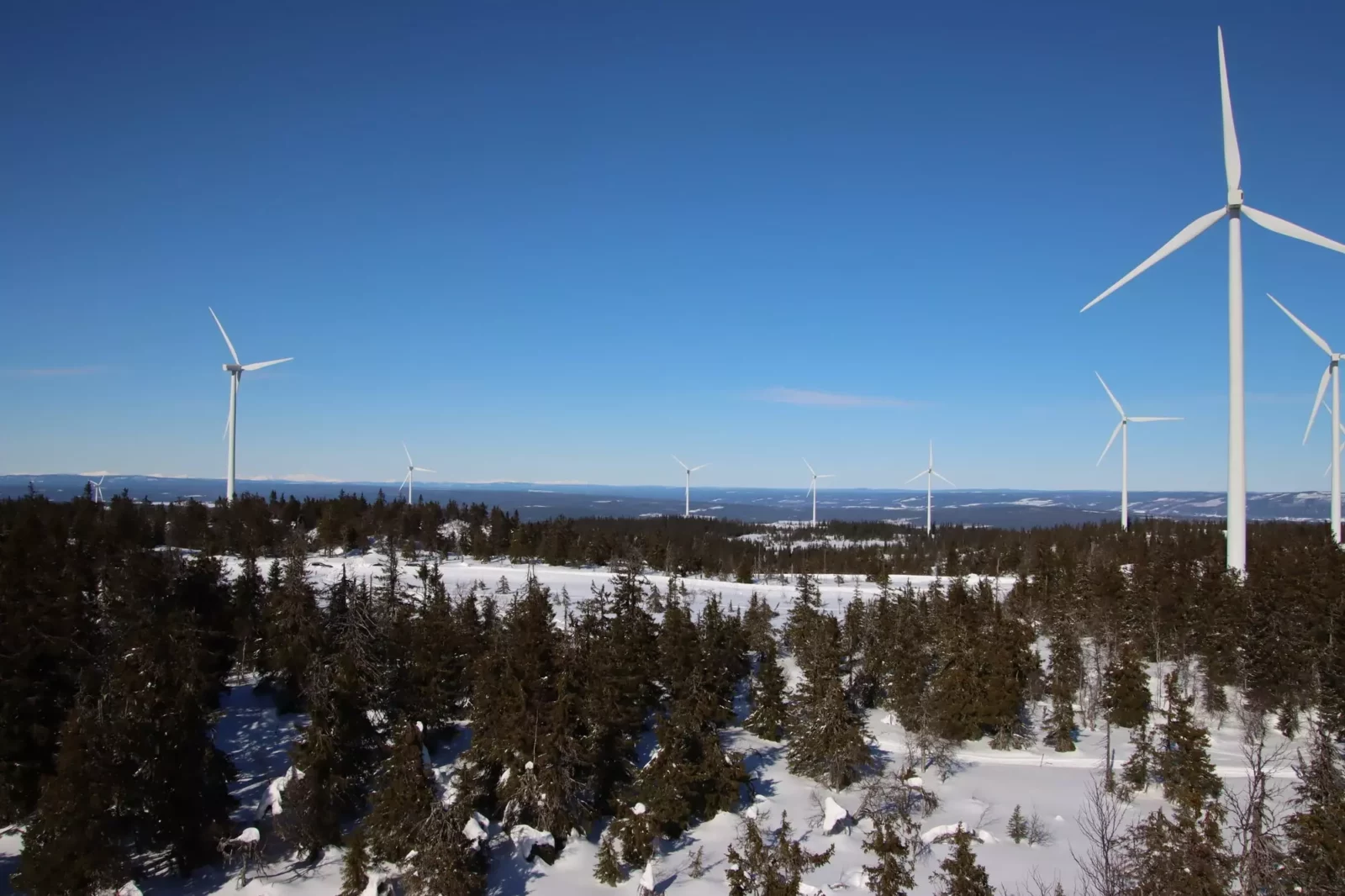 Fu-Gen & Nordic Electrofuel Join for Norwegian Wind Development